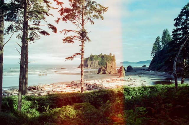 Olympic Coastline