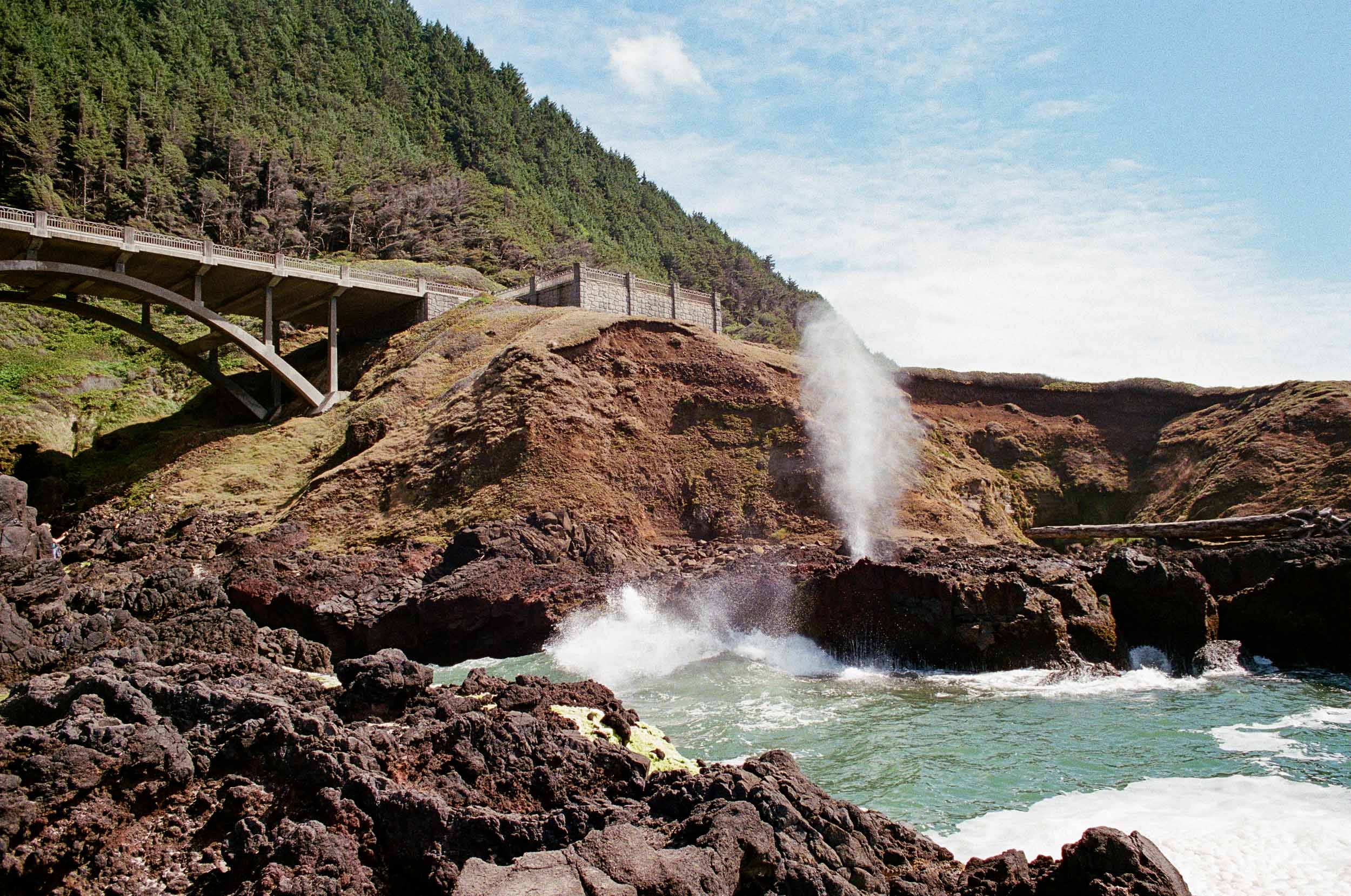 Cape Perpetua 3