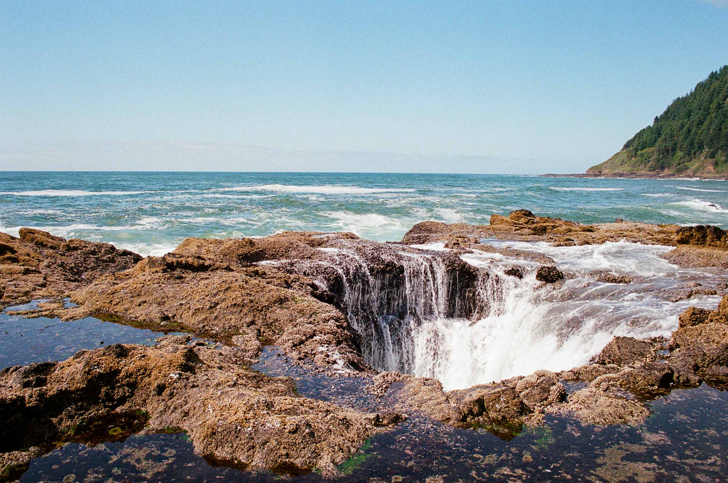 Cape Perpetua 5