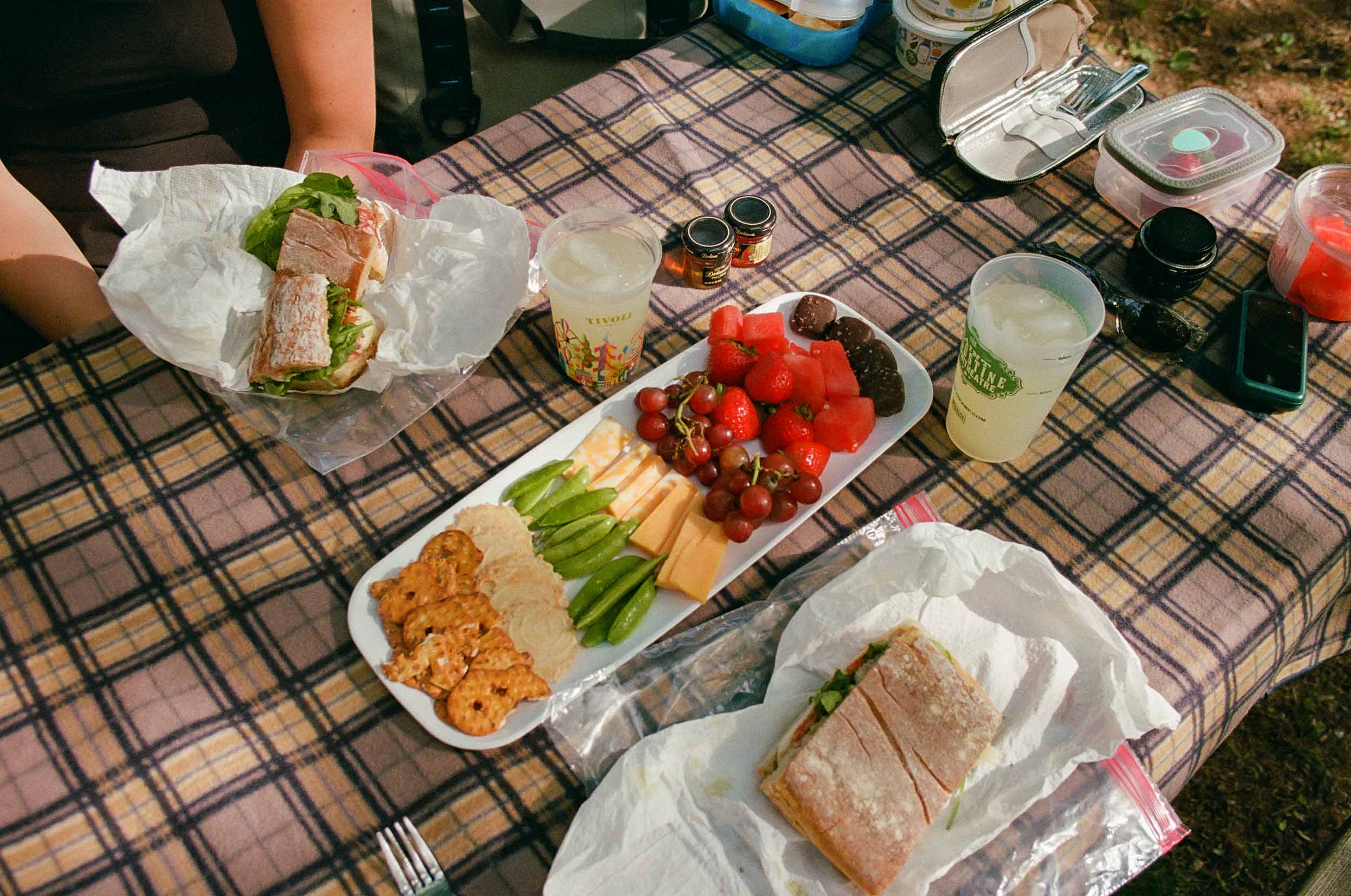 Picnic