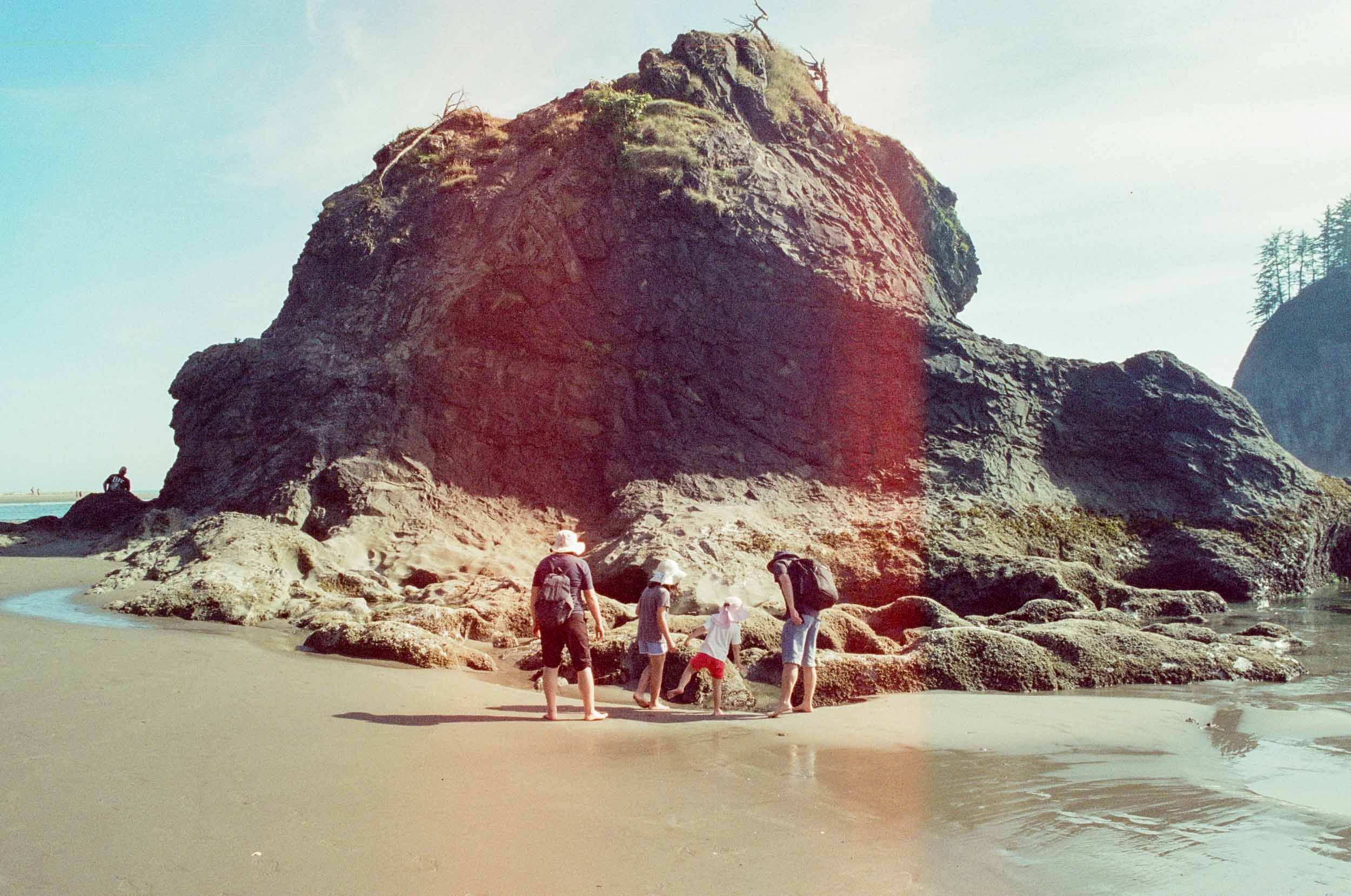 Olympic Coastline 3