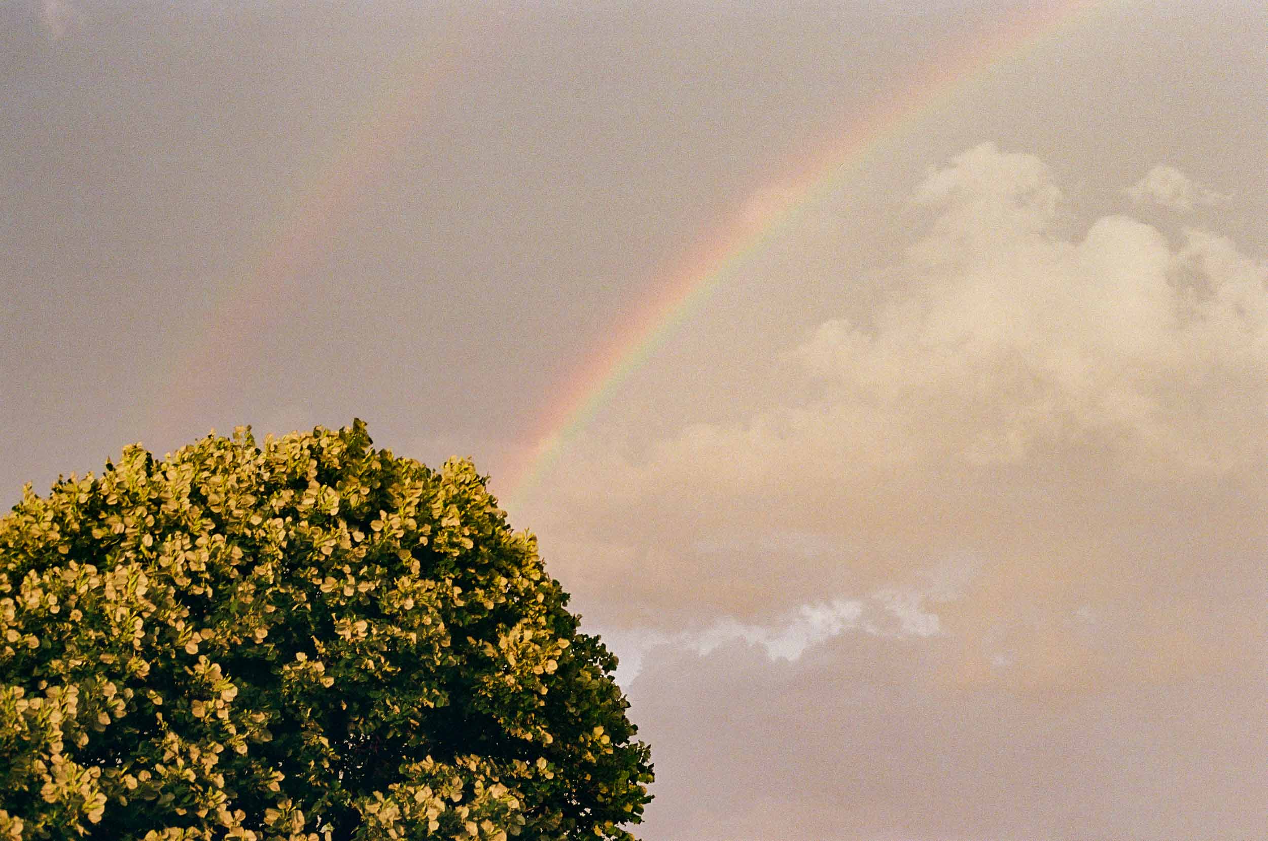 Rainbow 2