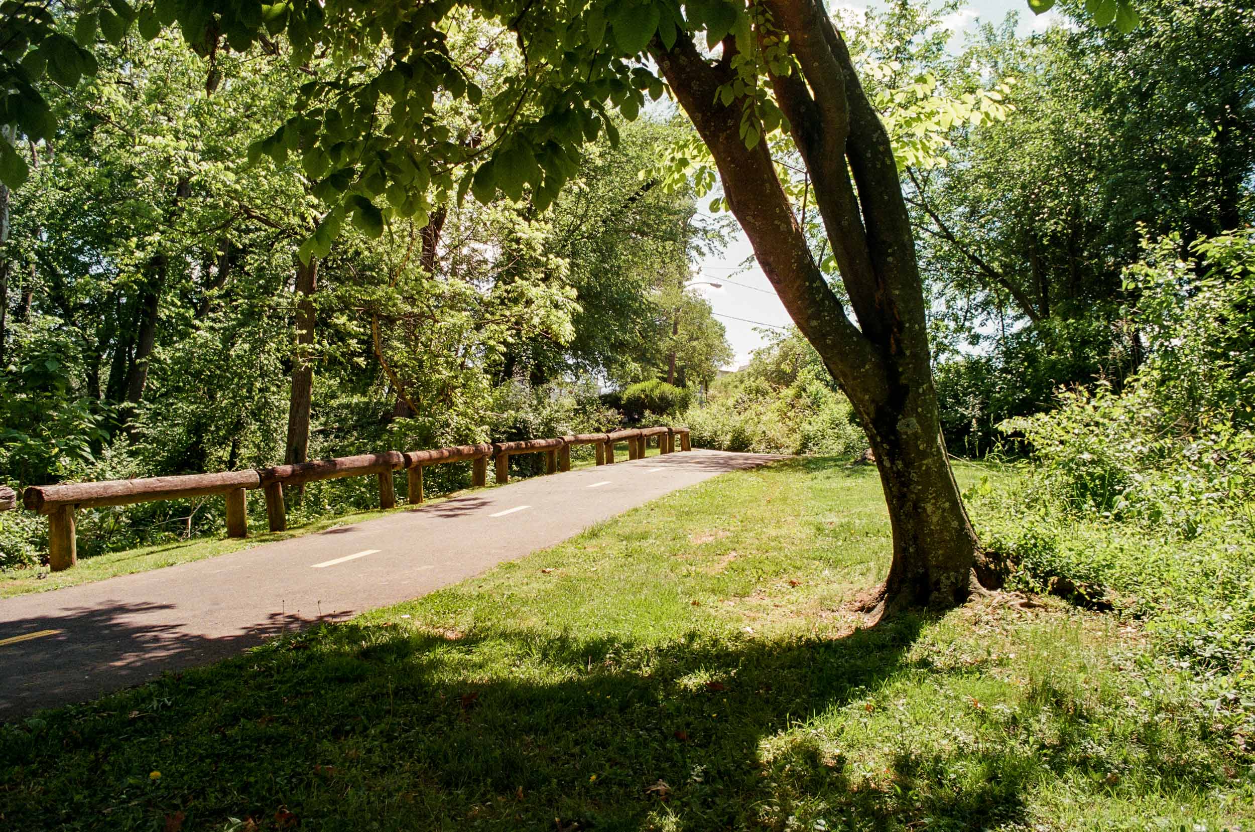Trailside
