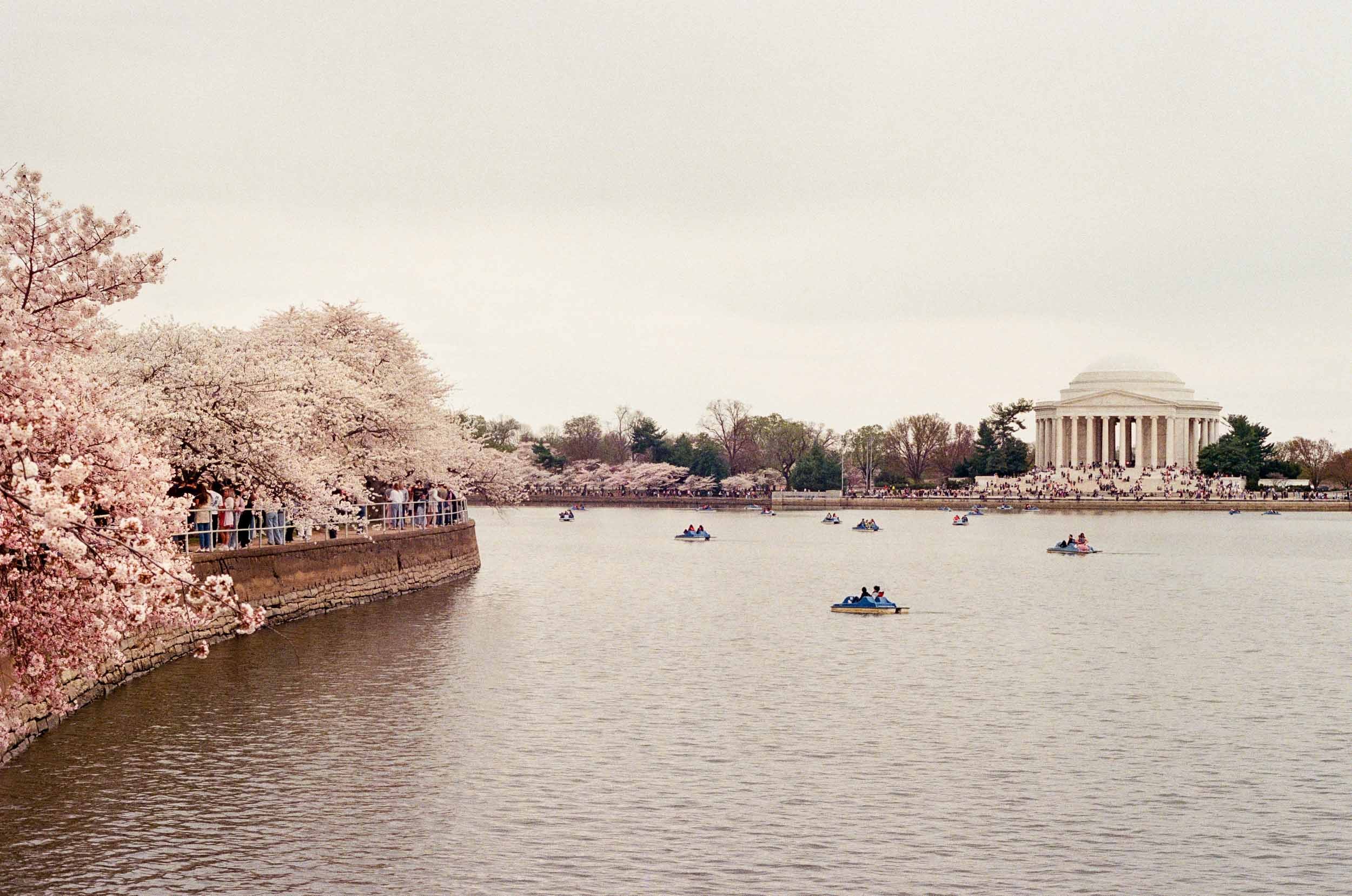 Tidal Basin