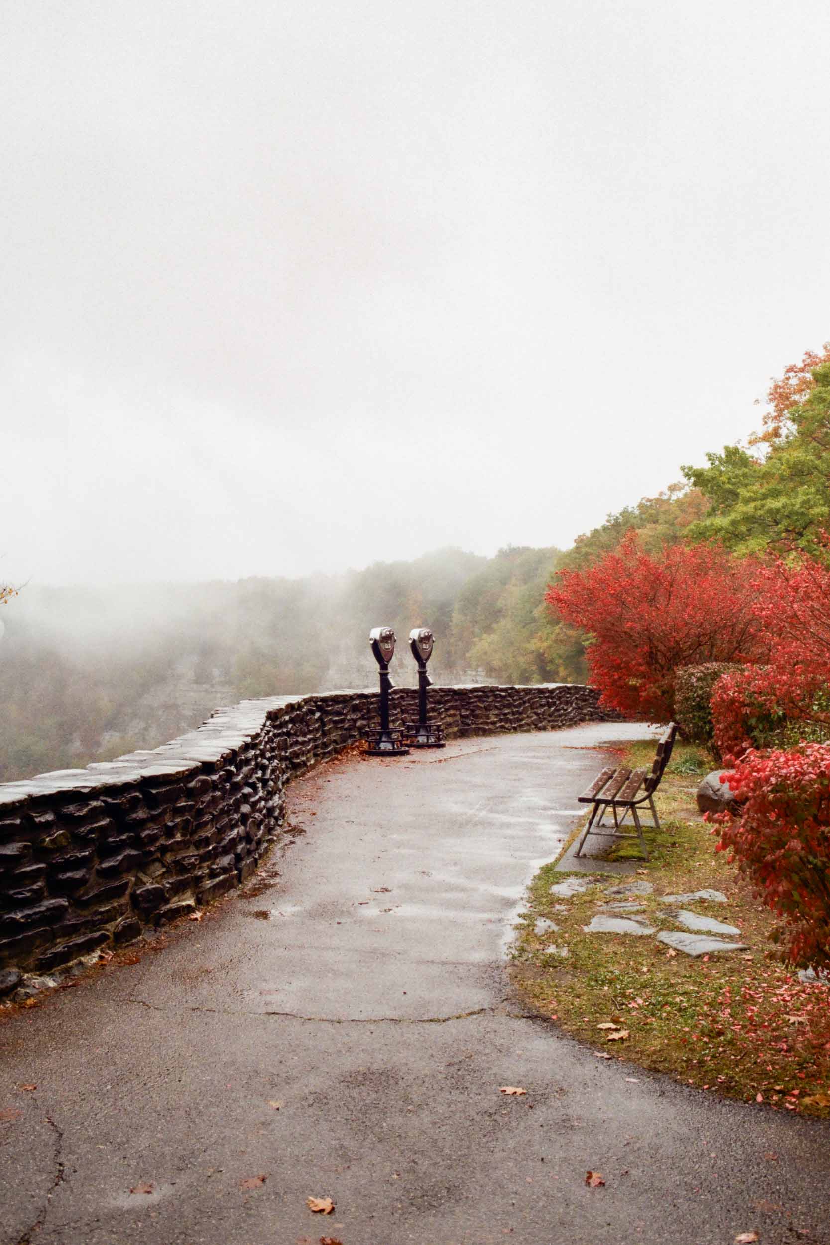 Cloudy View