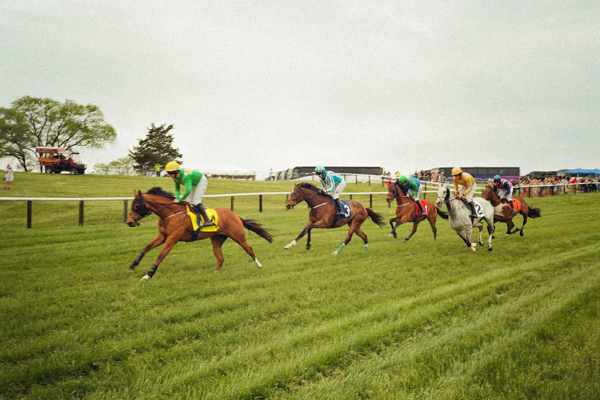 Foxfield Races