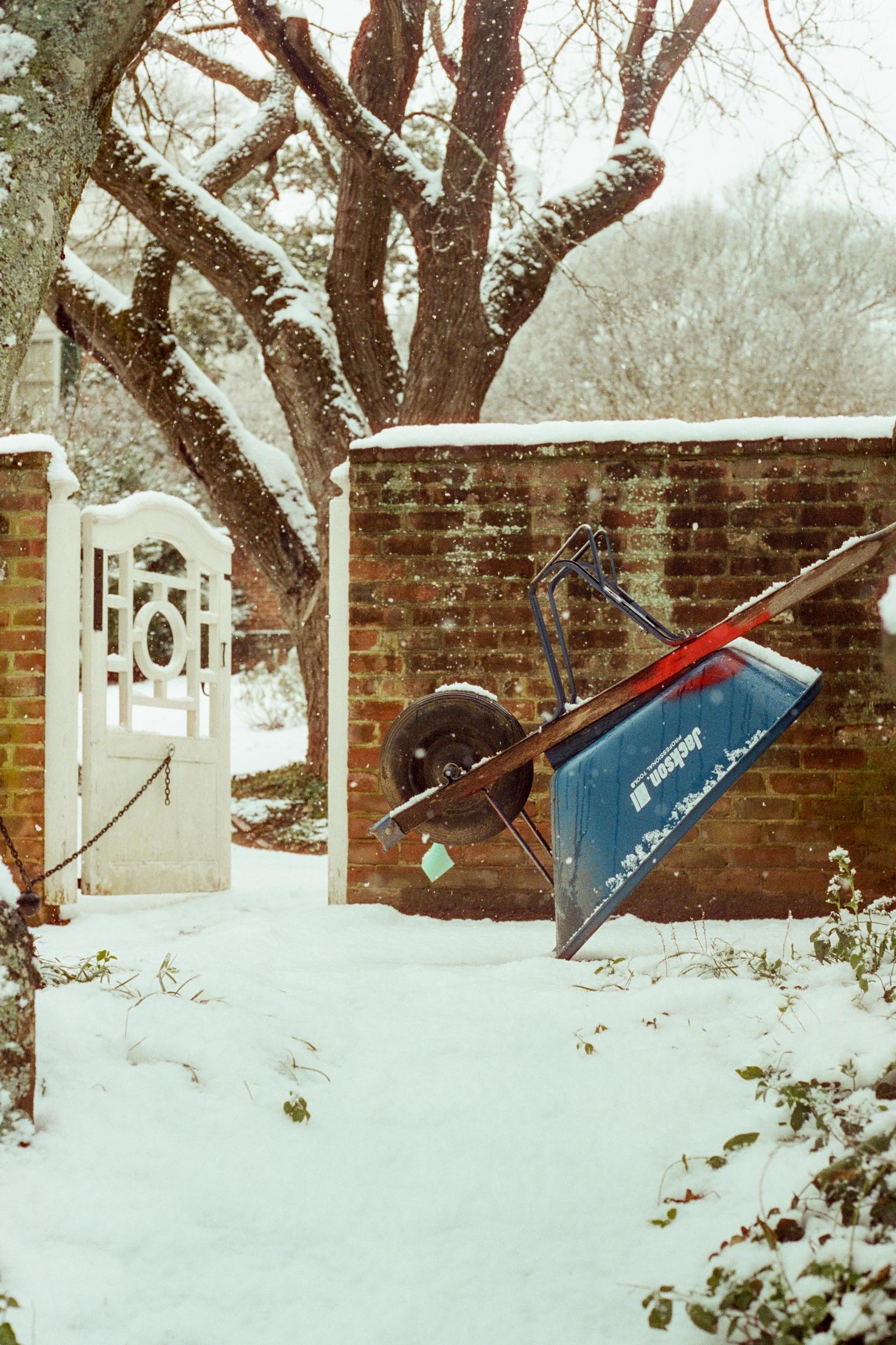 Steady Snowfall