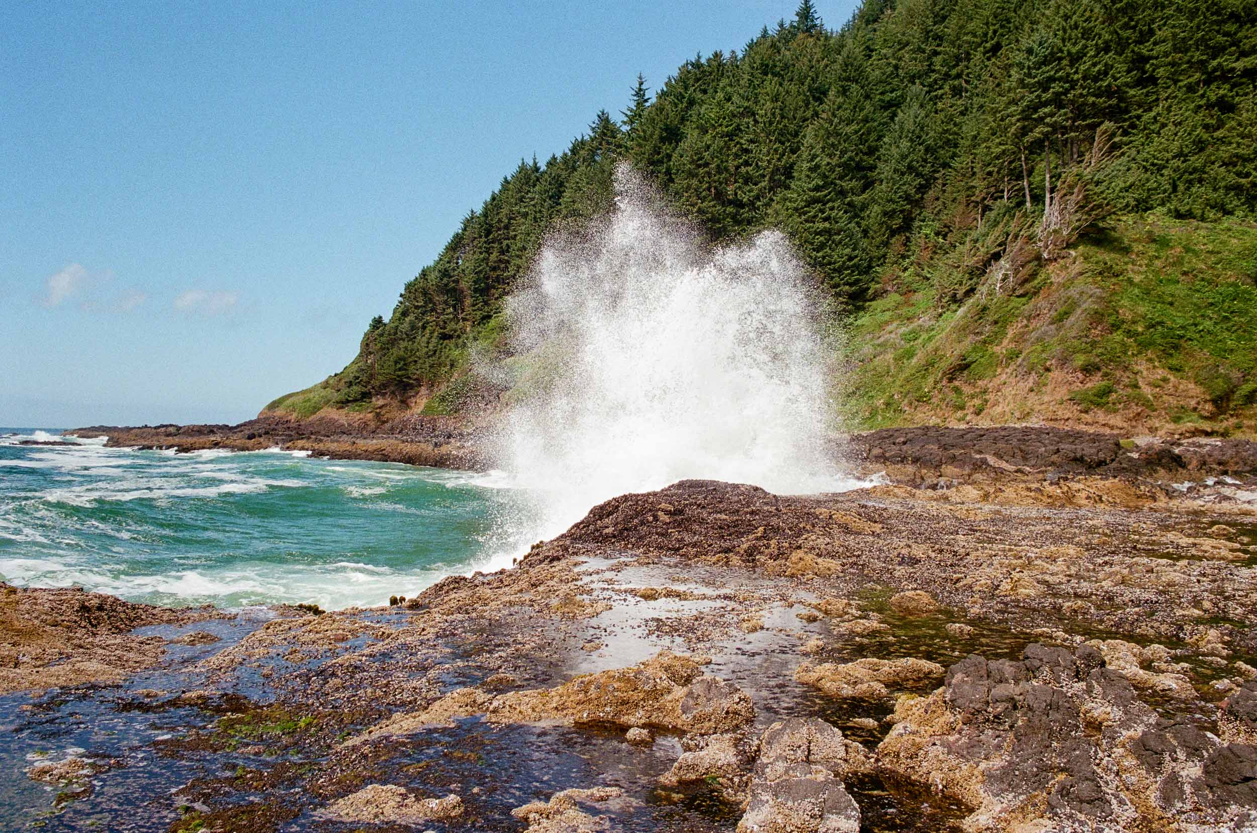 Cape Perpetua 9