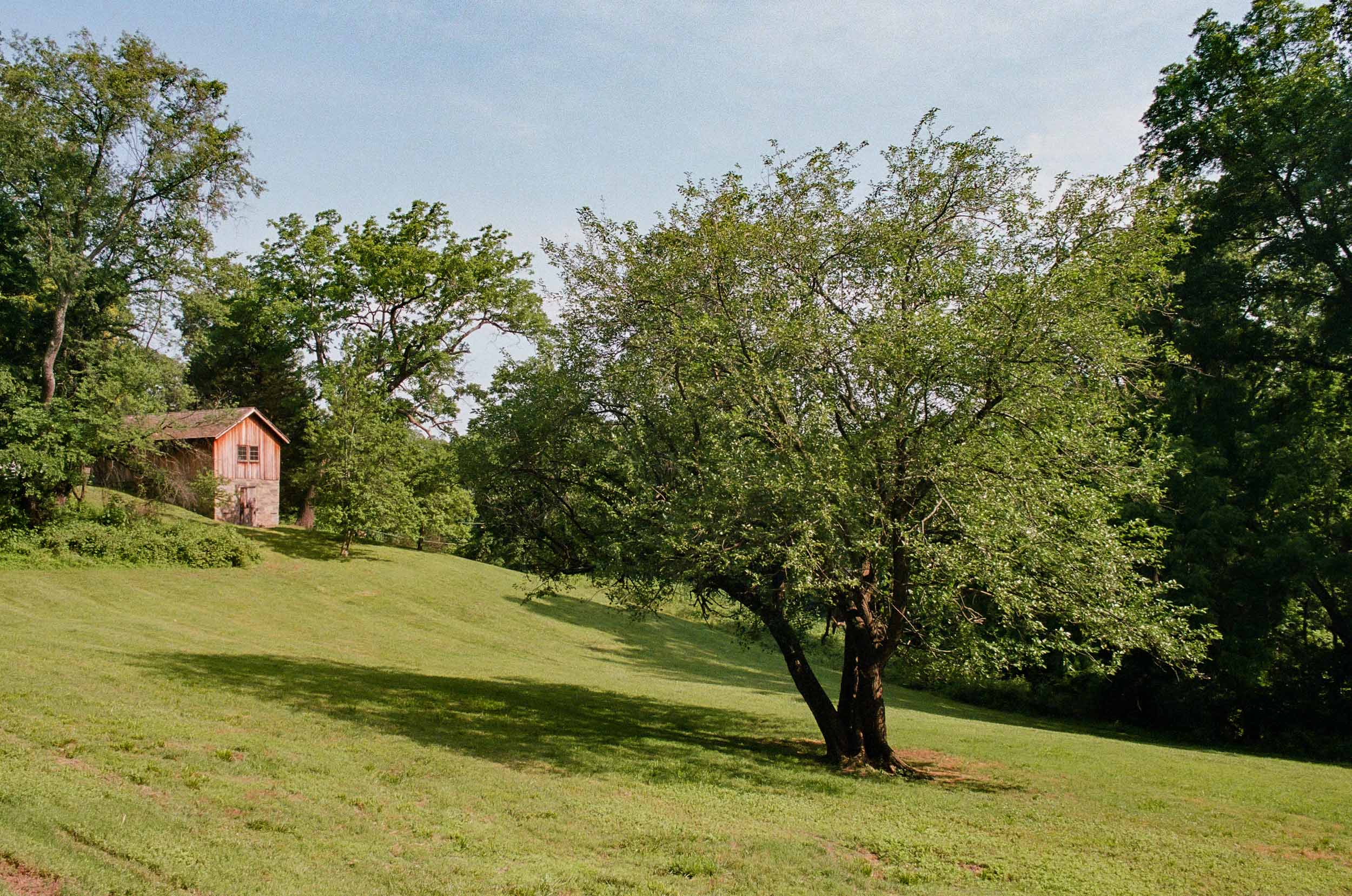 Hillside