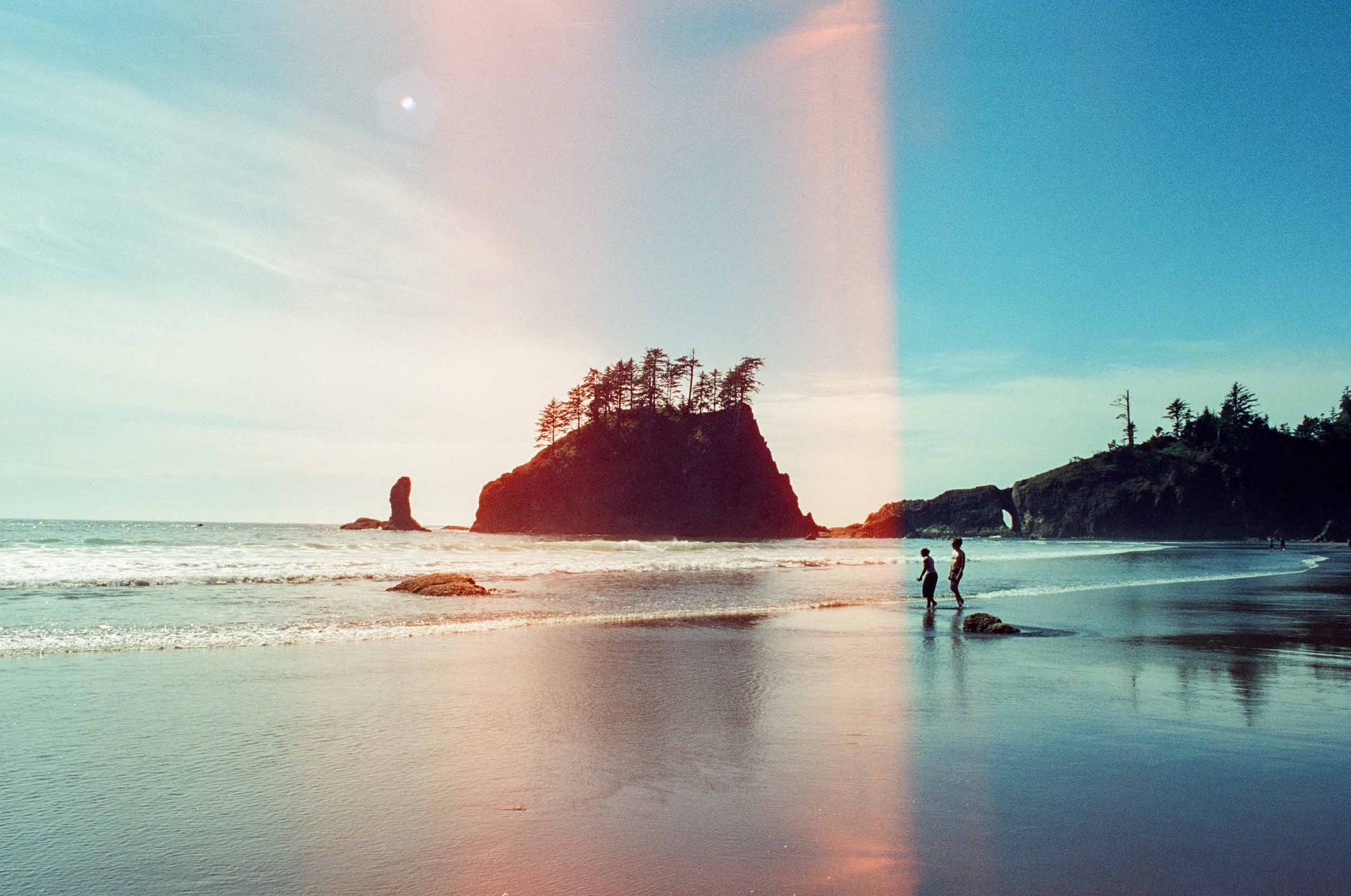 Olympic Coastline 6