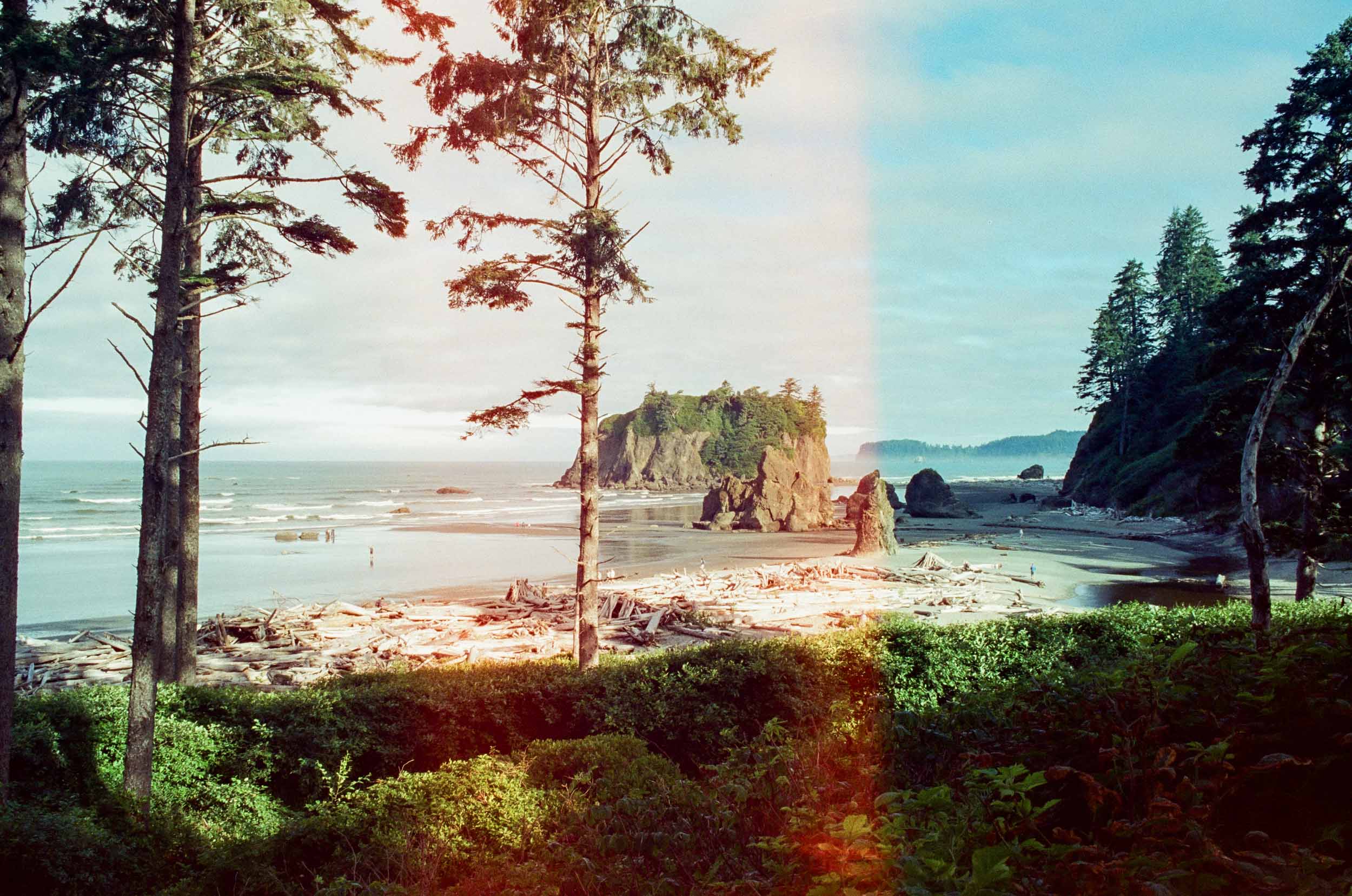 Olympic Coastline