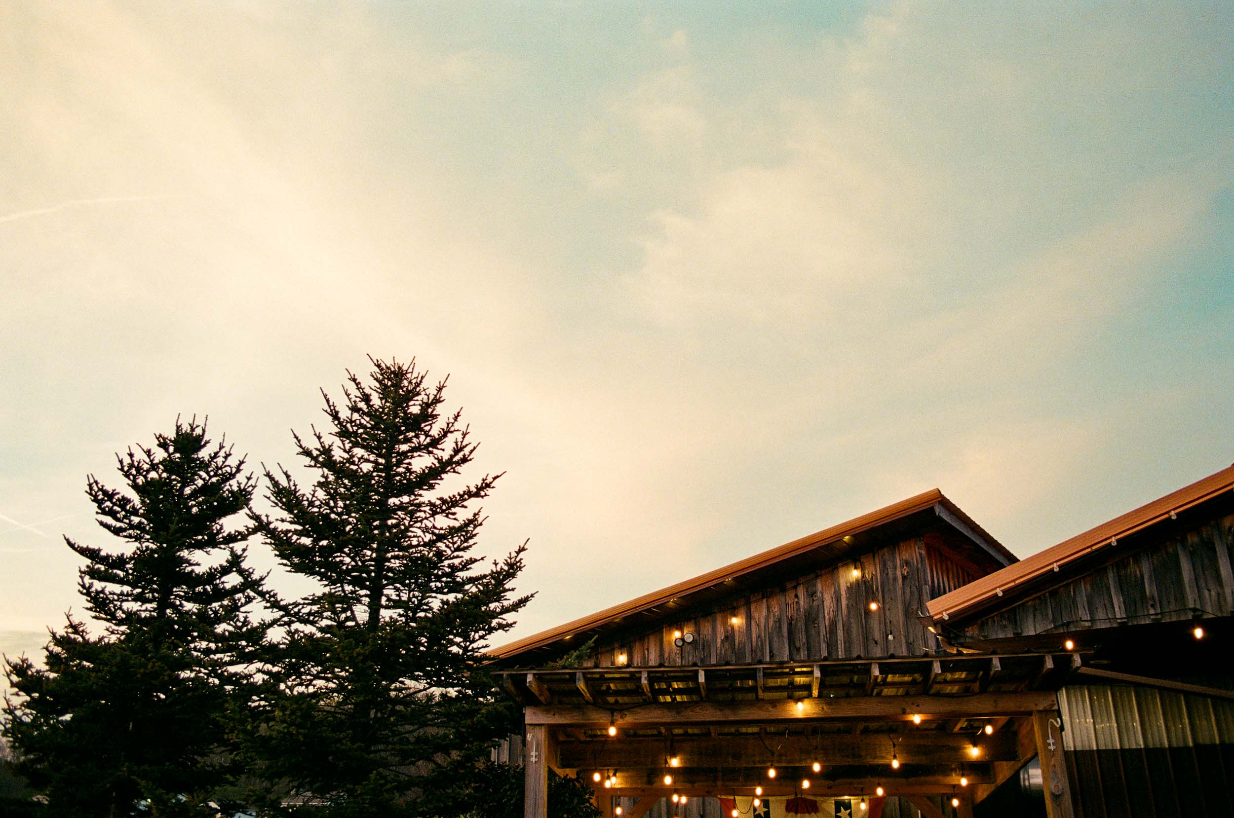 Dusk Lights