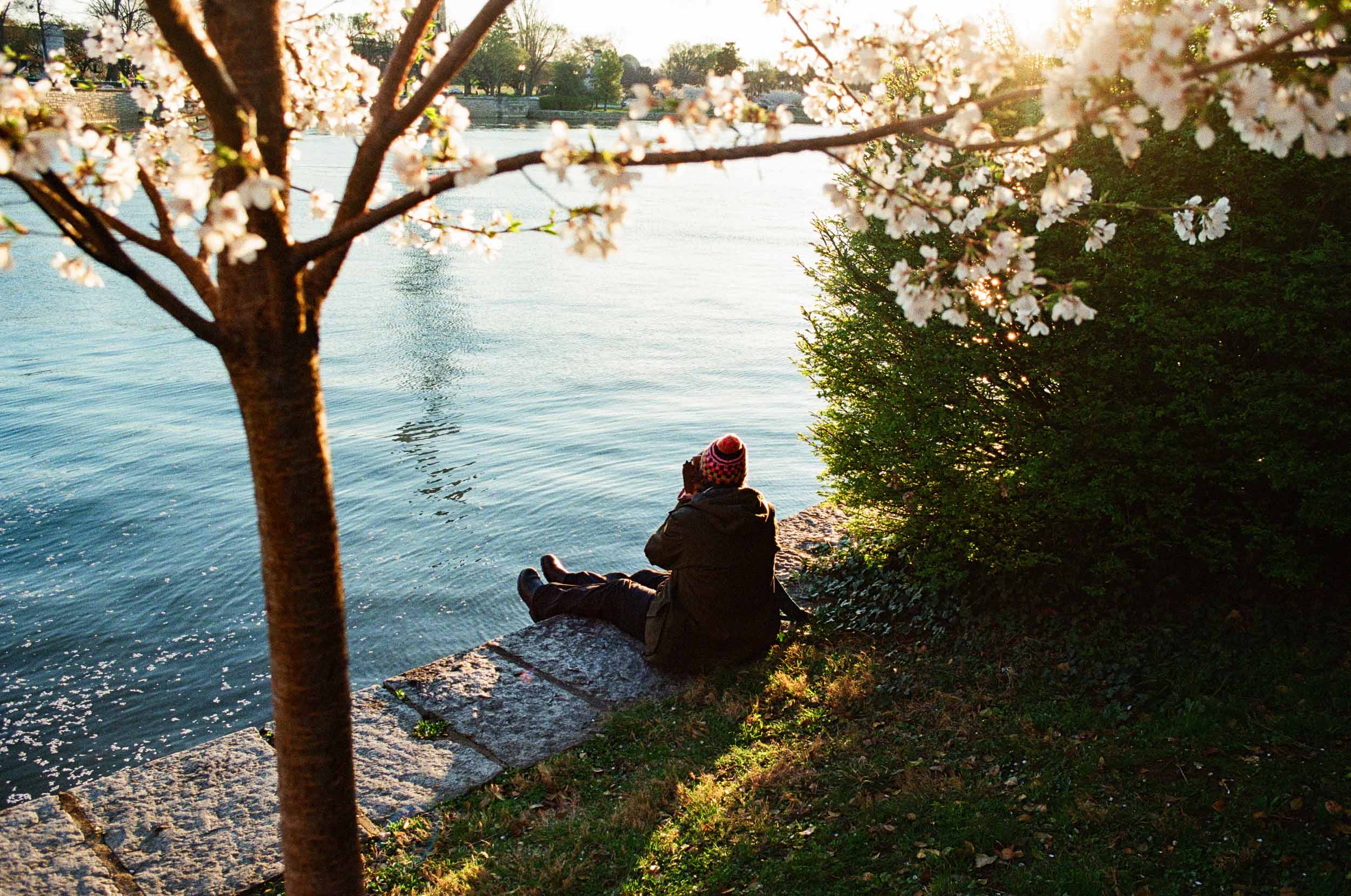 First Light
